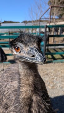 掛川花鳥園に投稿された画像（2026/1/2）