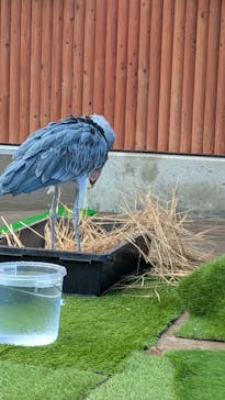 掛川花鳥園に投稿された画像（2026/1/2）