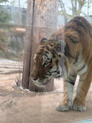 那須どうぶつ王国に投稿された画像（2026/1/2）