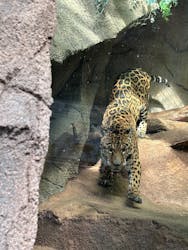 那須どうぶつ王国に投稿された画像（2026/1/2）