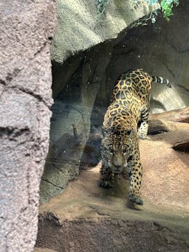 那須どうぶつ王国に投稿された画像（2026/1/2）