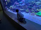 大分マリーンパレス水族館 「うみたまご」に投稿された画像（2026/1/3）