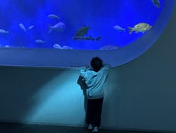 大分マリーンパレス水族館 「うみたまご」に投稿された画像（2026/1/3）