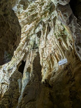 飛騨大鍾乳洞＆大橋コレクション館に投稿された画像（2026/1/3）