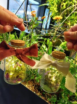 いばらきフラワーパークに投稿された画像（2026/1/3）