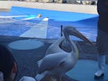 大分マリーンパレス水族館 「うみたまご」に投稿された画像（2026/1/3）