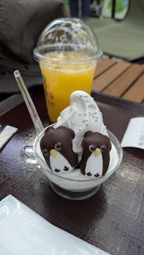 掛川花鳥園に投稿された画像（2026/1/3）