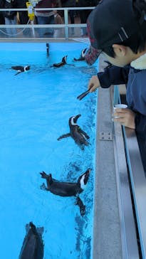 掛川花鳥園に投稿された画像（2026/1/3）