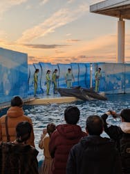 新江ノ島水族館に投稿された画像（2026/1/3）