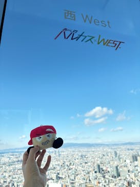 ハルカス300(展望台)に投稿された画像（2026/1/3）