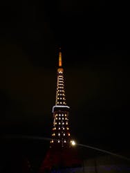 東京タワーに投稿された画像（2026/1/3）