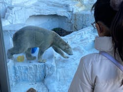 天王寺動物園に投稿された画像（2026/1/3）