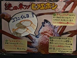 竹島水族館に投稿された画像（2026/1/3）