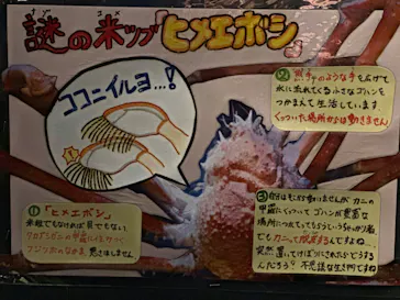 竹島水族館に投稿された画像（2026/1/3）