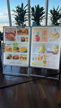 ハルカス300(展望台)に投稿された画像（2026/1/3）