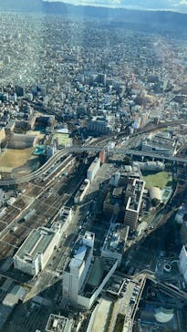 ハルカス300(展望台)に投稿された画像（2026/1/3）