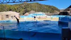 下田海中水族館に投稿された画像（2026/1/3）