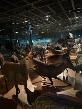 国立科学博物館に投稿された画像（2026/1/3）