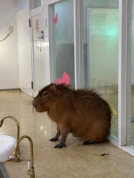 アニタッチ MARK IS 静岡に投稿された画像（2026/1/3）