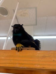 アニタッチ MARK IS 静岡に投稿された画像（2026/1/3）