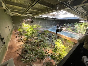 カワスイ 川崎⽔族館に投稿された画像（2026/1/3）