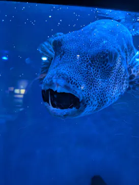 竹島水族館に投稿された画像（2026/1/3）