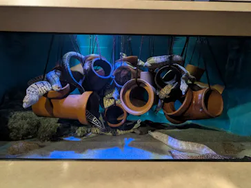 竹島水族館に投稿された画像（2026/1/3）