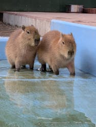 竹島水族館に投稿された画像（2026/1/3）