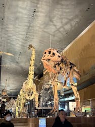 北九州市立自然史・歴史博物館（いのちのたび博物館）に投稿された画像（2026/1/3）