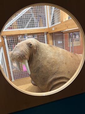 国立科学博物館に投稿された画像（2026/1/3）