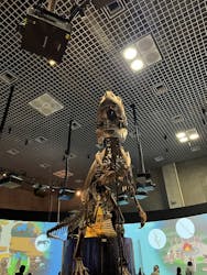 国立科学博物館に投稿された画像（2026/1/3）