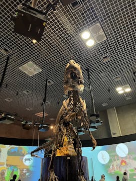 国立科学博物館に投稿された画像（2026/1/3）