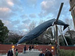 国立科学博物館に投稿された画像（2026/1/3）