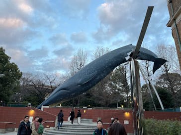 国立科学博物館に投稿された画像（2026/1/3）