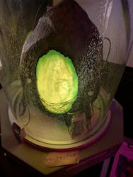 ティフォニウムお台場に投稿された画像（2026/1/3）