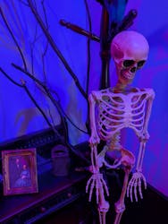 ティフォニウムお台場に投稿された画像（2026/1/3）