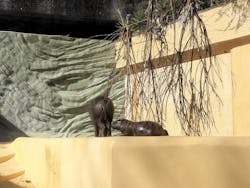 恩賜上野動物園に投稿された画像（2026/1/3）