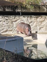 恩賜上野動物園に投稿された画像（2026/1/3）