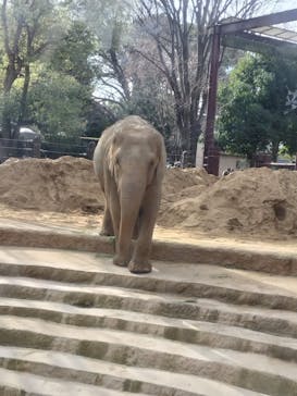 恩賜上野動物園に投稿された画像（2026/1/3）