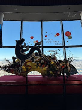 東京スカイツリーに投稿された画像（2026/1/3）