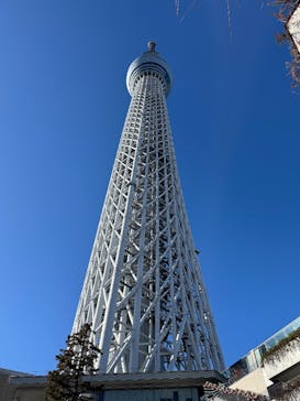東京スカイツリーに投稿された画像（2026/1/3）