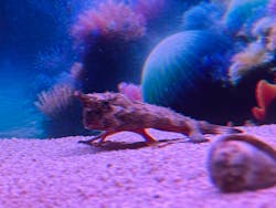 ひらかたパークに投稿された画像（2026/1/3）