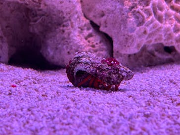 ひらかたパークに投稿された画像（2026/1/3）