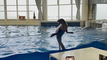 アクアワールド茨城県大洗水族館に投稿された画像（2026/1/3）