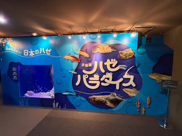 世界淡水魚園水族館　アクア・トトぎふに投稿された画像（2026/1/3）