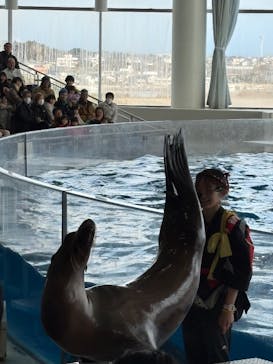 アクアワールド茨城県大洗水族館に投稿された画像（2026/1/3）