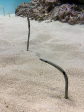 アクアワールド茨城県大洗水族館に投稿された画像（2026/1/3）