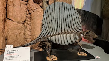 特別展「大絶滅展―生命史のビッグファイブ」に投稿された画像（2026/1/3）