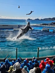 鴨川シーワールドに投稿された画像（2026/1/3）