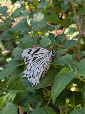 多摩動物公園に投稿された画像（2026/1/3）